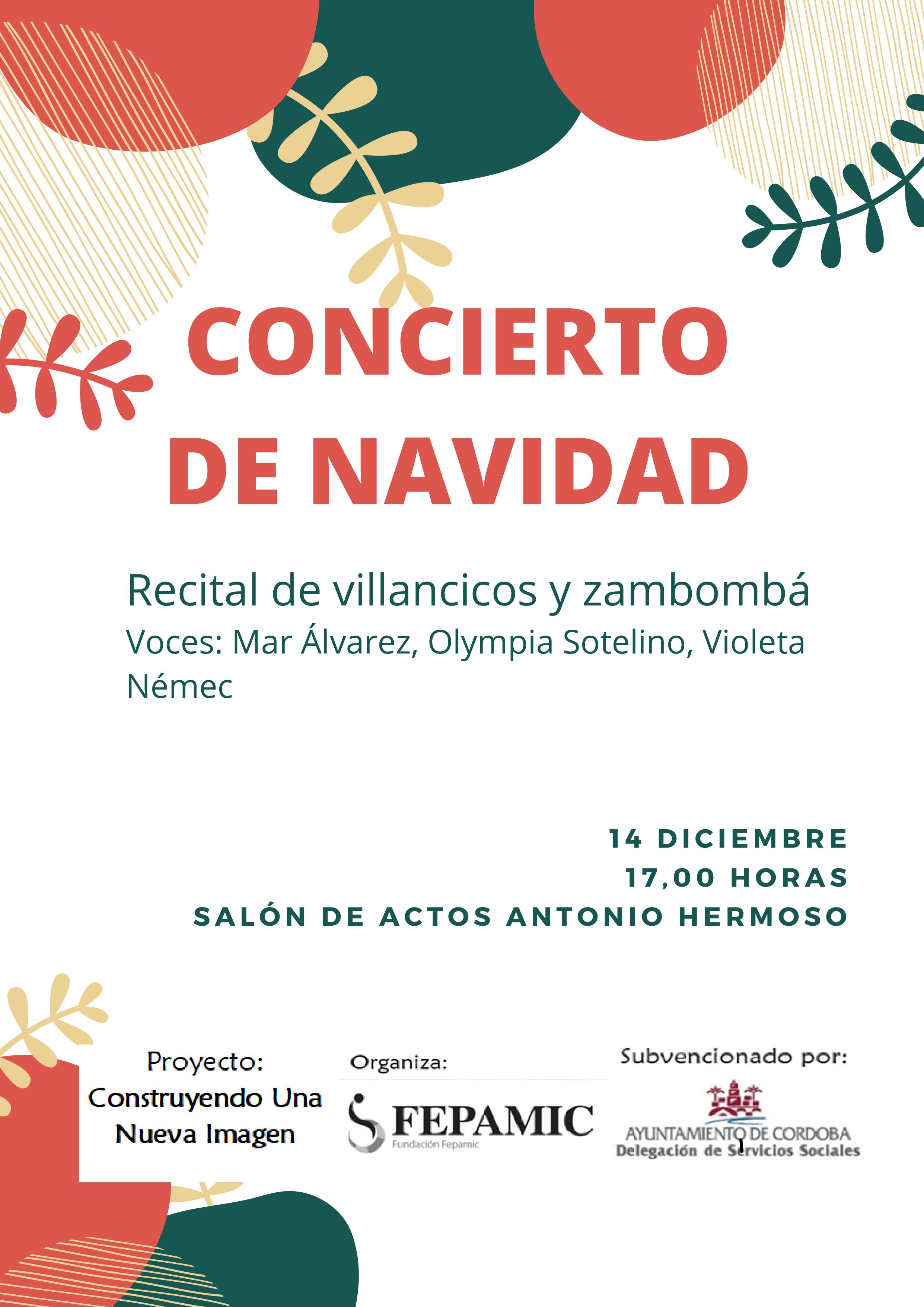 Concierto de Navidad Concierto de Navidad