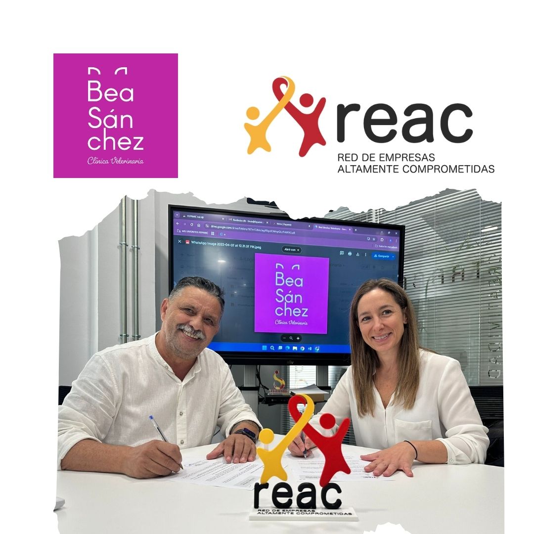 BEA SÁNCHEZ MARCA LA DIFERENCIA BEA SÁNCHEZ MARCA LA DIFERENCIA